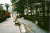 Small Park Area